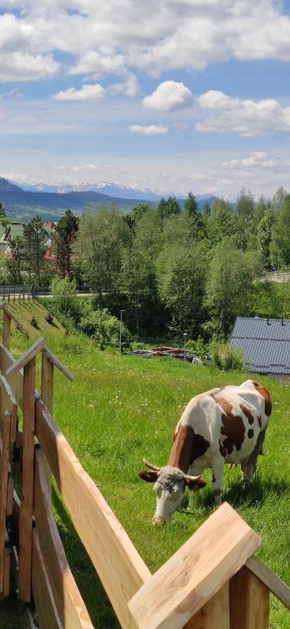 Góralskie Domki na Podhalu Maniowy Exterior foto