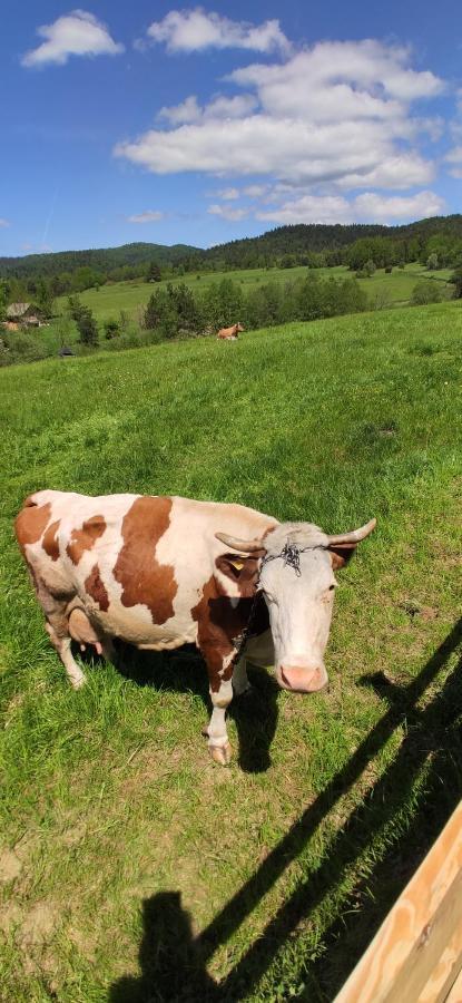 Góralskie Domki na Podhalu Maniowy Exterior foto
